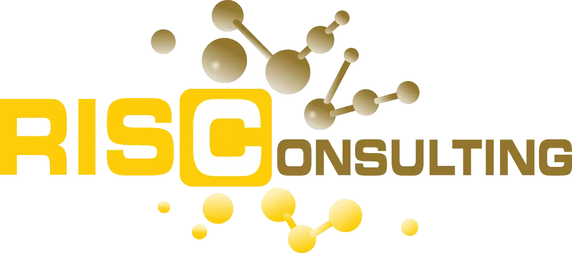 RIS Consulting logo